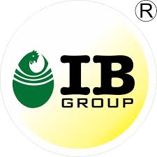 ib group logo