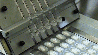 blister packing machine in operation