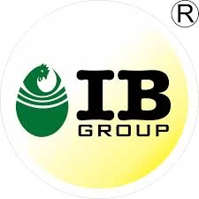 ib group logo